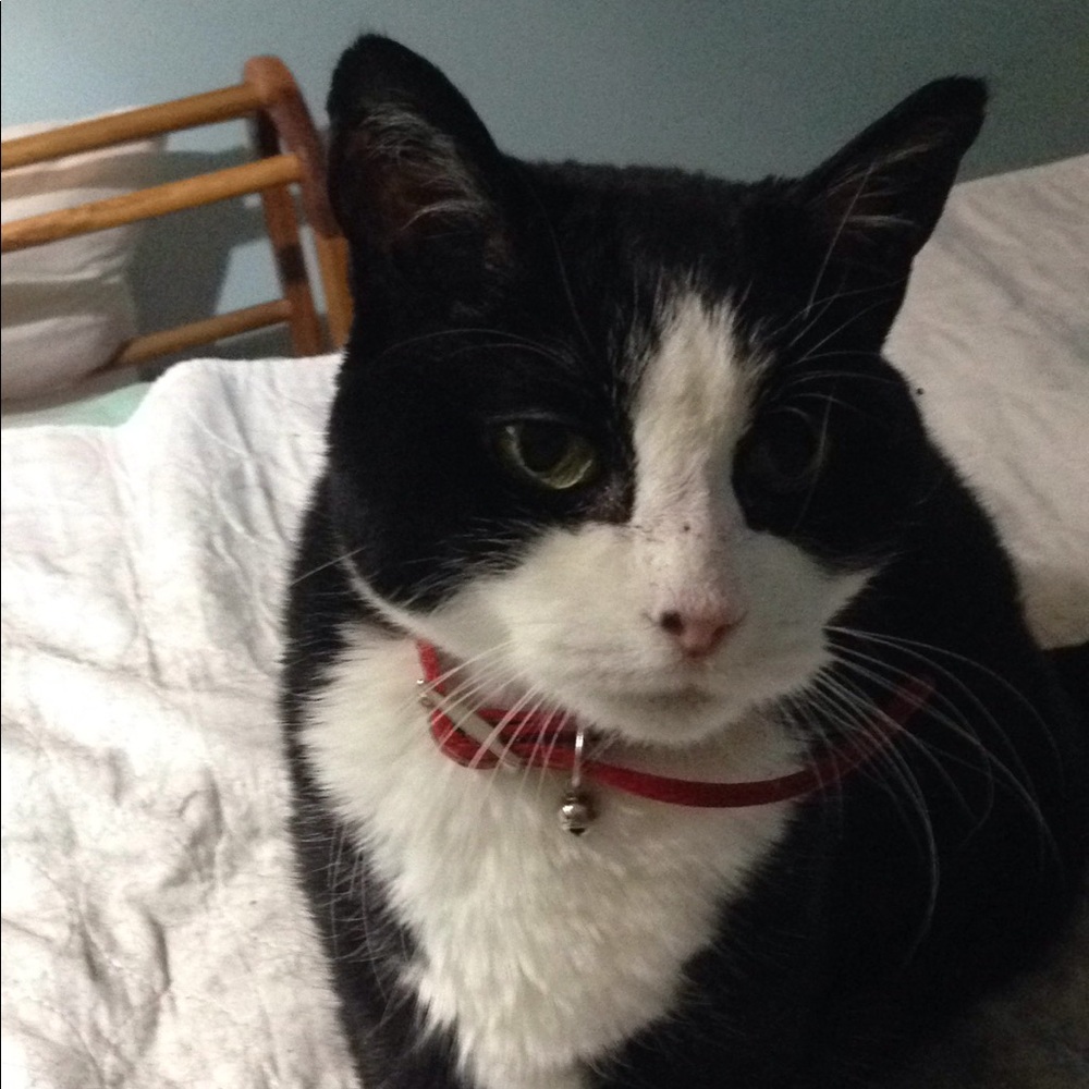 Meet your Posher, Linda